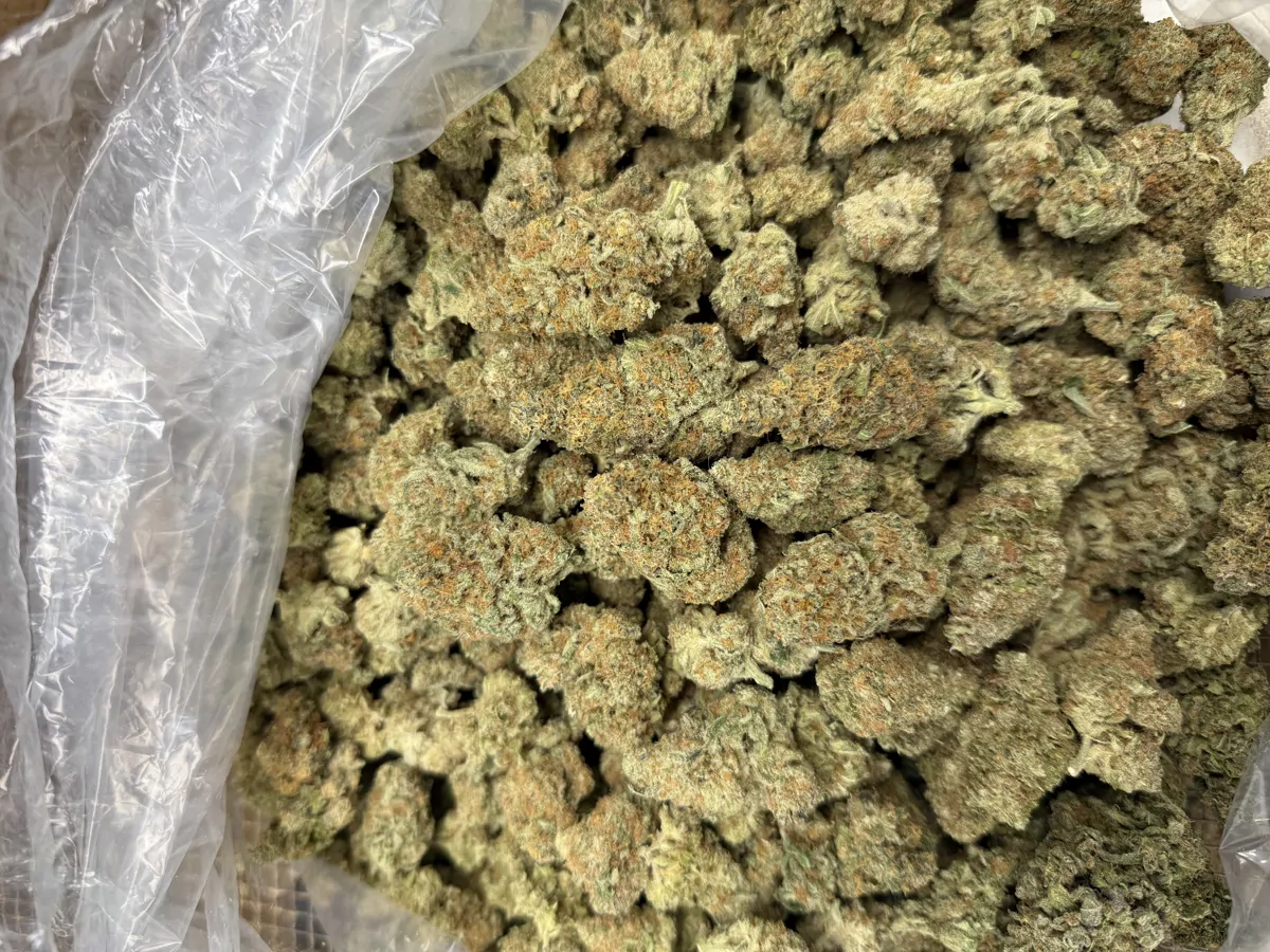 Super Silver Haze Flower